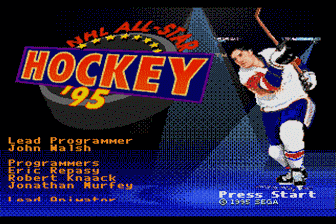 全明星曲棍球赛95(美)